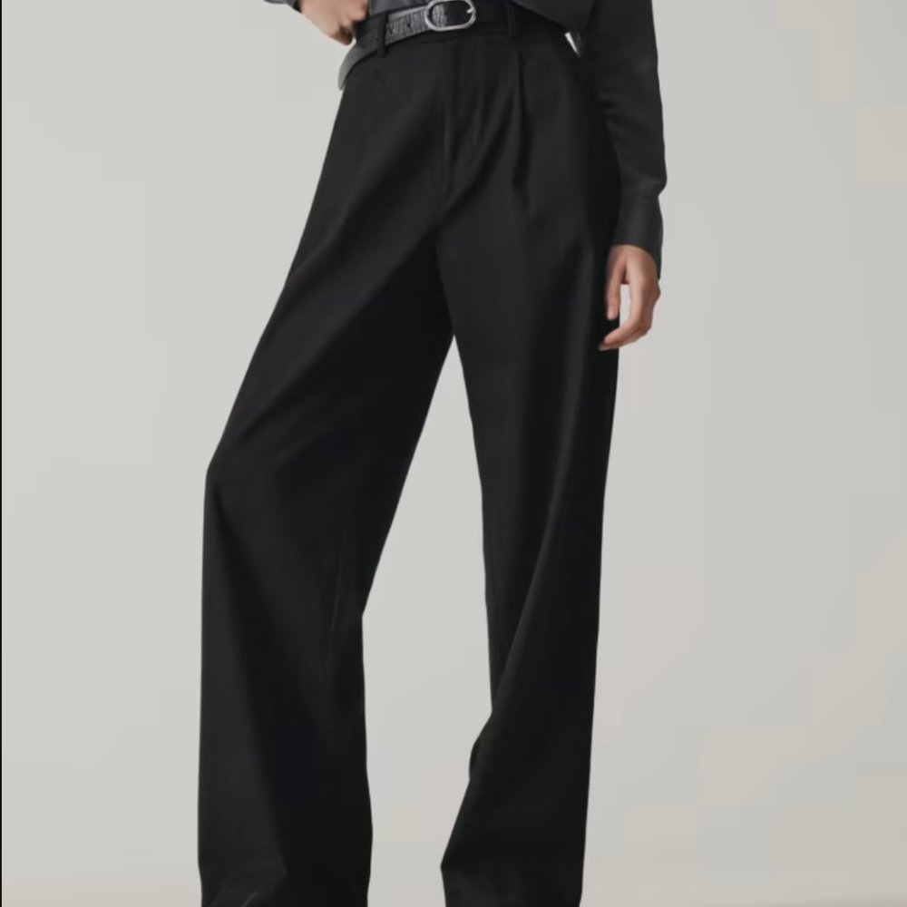 Everlane The City-Stripe Way-High Drape Pant